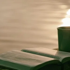 tu veux vivre les promesses de dieu lis cet article tu veux vivre les promesses de dieu lis cet article