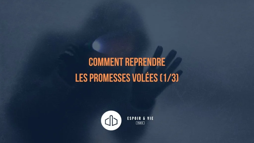 Les promesses volées